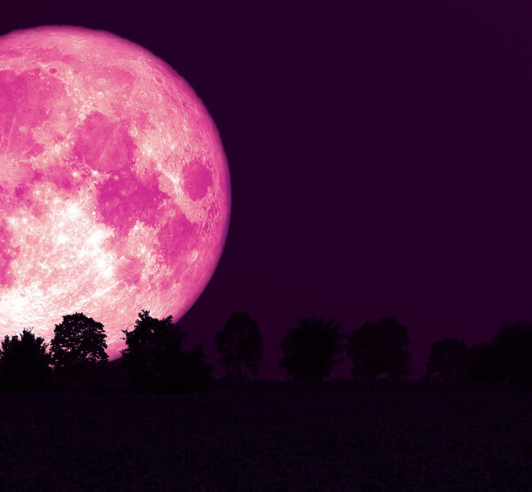 Strawberry Moon June 29th