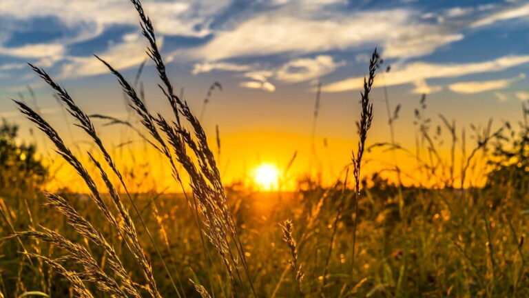 Sunday is Summer Solstice