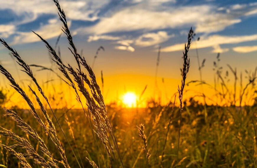 Sunday is Summer Solstice