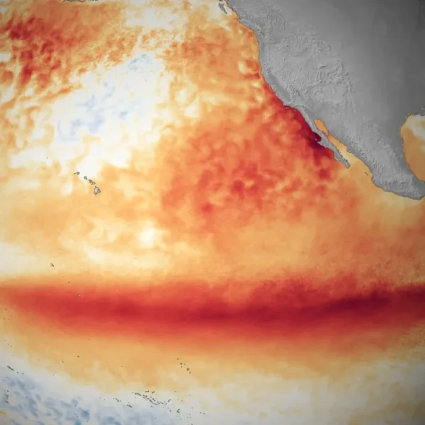 Understanding El Niño & ENSO