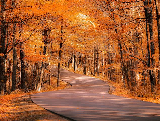 Fall weather preview