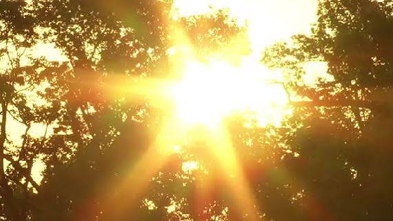 Hot, humid and stormy Sunday