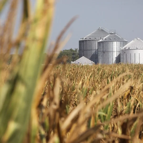 Fall Harvest Challenges for 2026