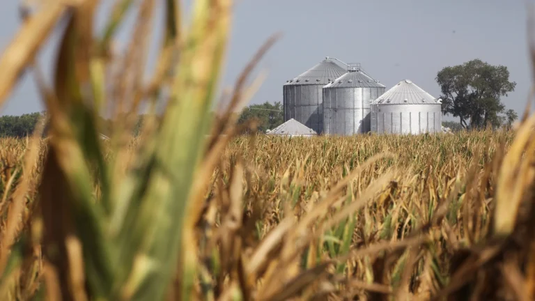 Fall Harvest Challenges for 2026